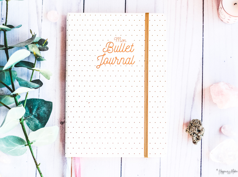 Le Bullet Journal pré-rempli : avantages et inconvénients - Lisly